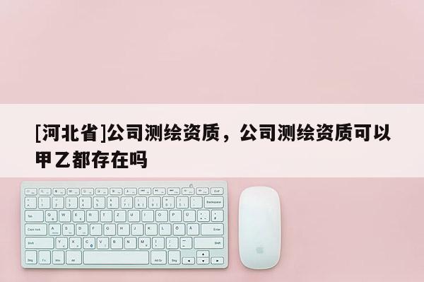 [河北省]公司測繪資質，公司測繪資質可以甲乙都存在嗎