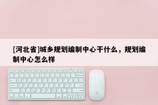 [河北省]城鄉規劃編制中心干什么，規劃編制中心怎么樣
