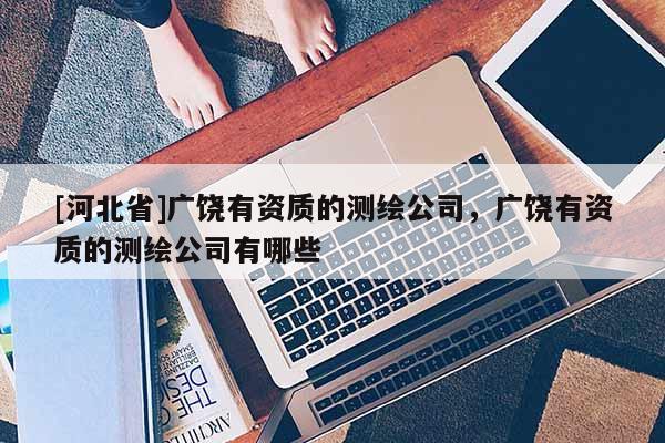 [河北省]廣饒有資質的測繪公司，廣饒有資質的測繪公司有哪些