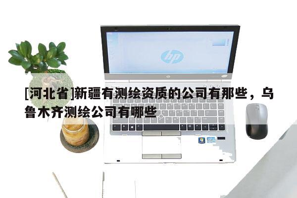 [河北省]新疆有測繪資質(zhì)的公司有那些，烏魯木齊測繪公司有哪些