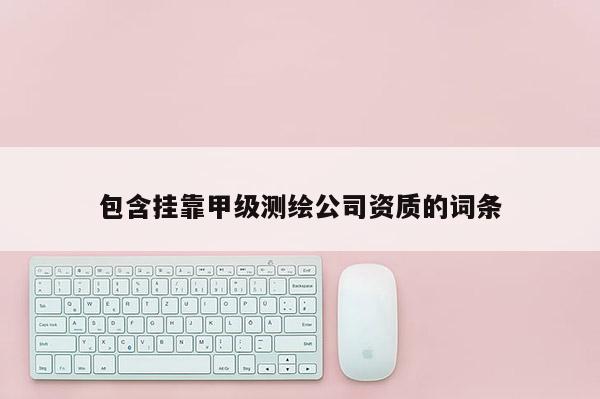 包含掛靠甲級測繪公司資質的詞條