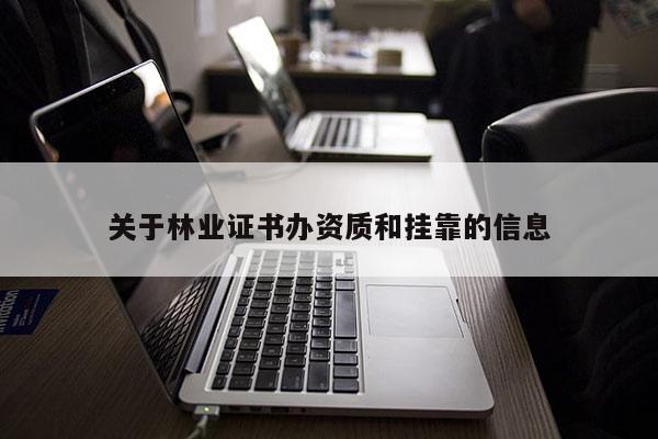 關于林業證書辦資質和掛靠的信息