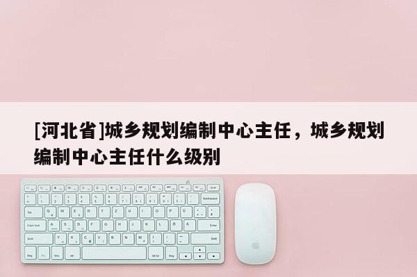[河北省]城鄉規劃編制中心主任，城鄉規劃編制中心主任什么級別