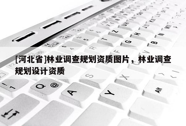 [河北省]林業調查規劃資質圖片，林業調查規劃設計資質