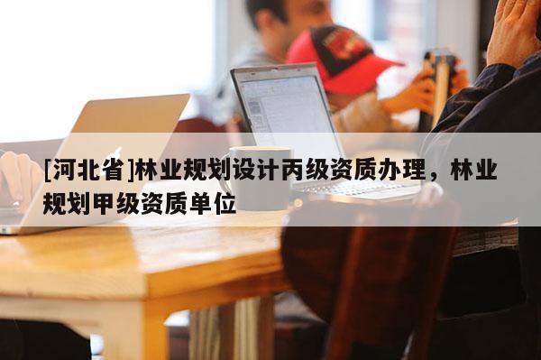 [河北省]林業規劃設計丙級資質辦理，林業規劃甲級資質單位