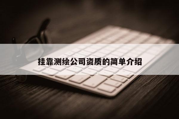 掛靠測繪公司資質的簡單介紹