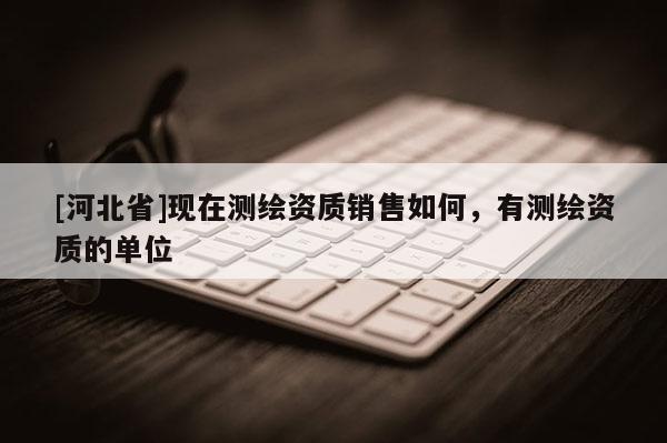 [河北省]現(xiàn)在測(cè)繪資質(zhì)銷售如何，有測(cè)繪資質(zhì)的單位