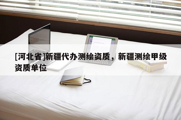 [河北省]新疆代辦測繪資質，新疆測繪甲級資質單位