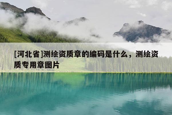[河北省]測繪資質章的編碼是什么，測繪資質專用章圖片