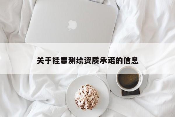 關于掛靠測繪資質承諾的信息