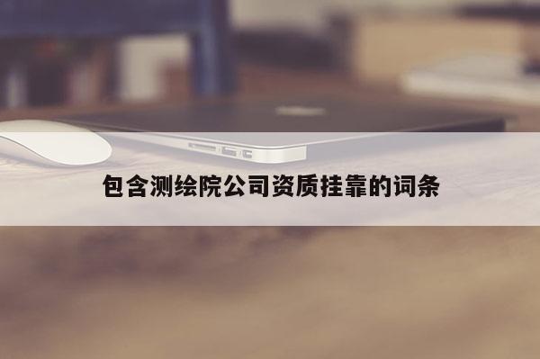 包含測繪院公司資質掛靠的詞條