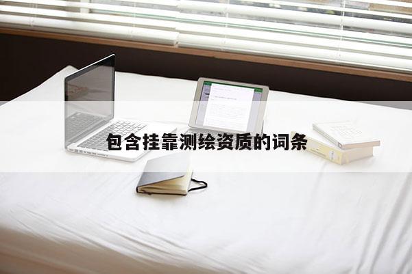 包含掛靠測繪資質的詞條
