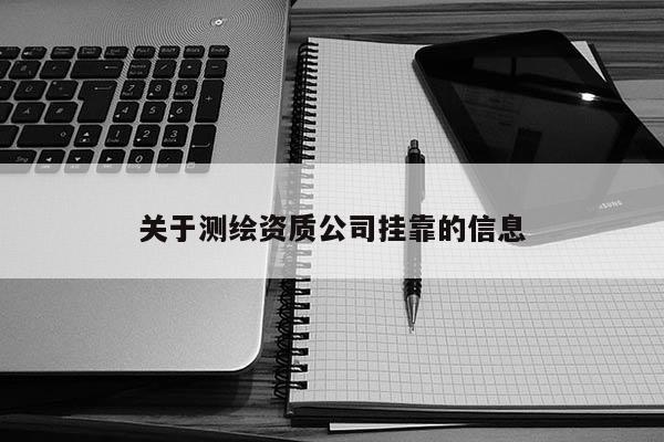 關于測繪資質公司掛靠的信息