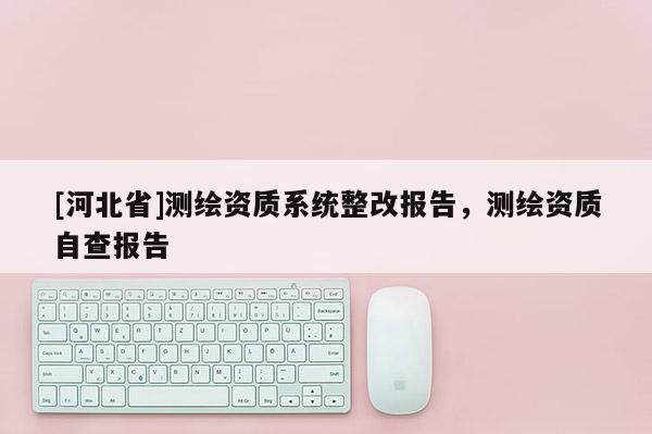 [河北省]測繪資質系統整改報告，測繪資質自查報告