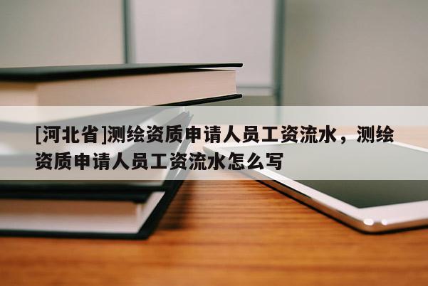 [河北省]測繪資質申請人員工資流水，測繪資質申請人員工資流水怎么寫