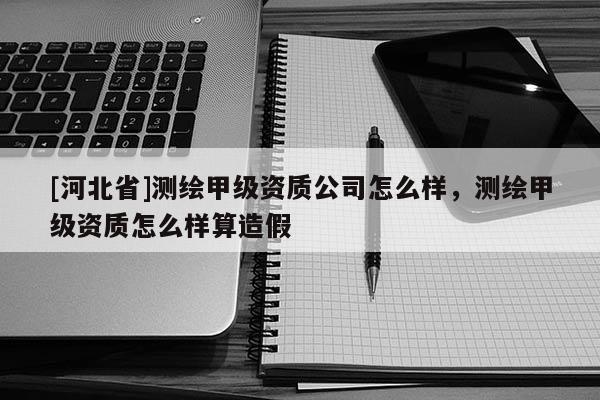 [河北省]測繪甲級資質公司怎么樣，測繪甲級資質怎么樣算造假