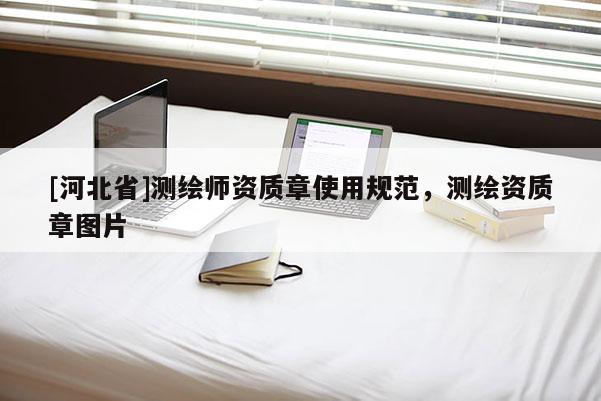 [河北省]測繪師資質章使用規范，測繪資質章圖片