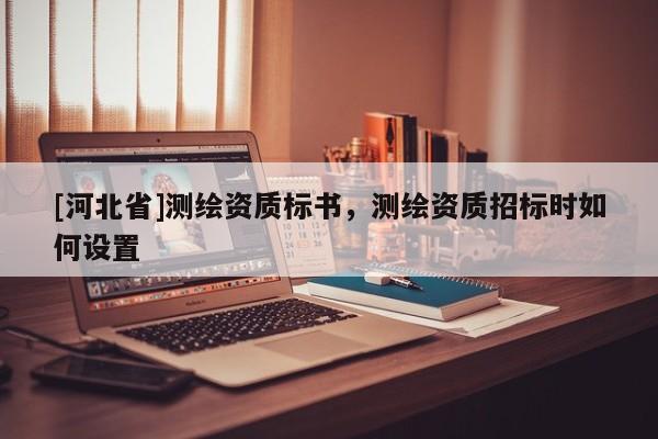 [河北省]測繪資質標書，測繪資質招標時如何設置