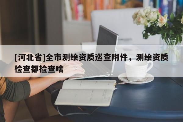 [河北省]全市測繪資質(zhì)巡查附件，測繪資質(zhì)檢查都檢查啥