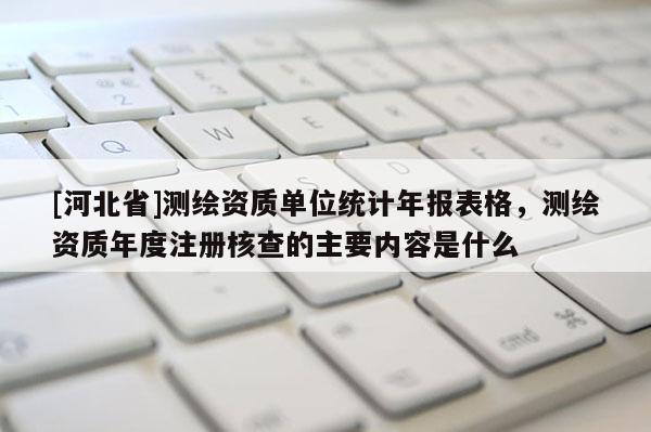 [河北省]測繪資質單位統計年報表格，測繪資質年度注冊核查的主要內容是什么