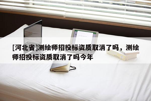[河北省]測繪師招投標(biāo)資質(zhì)取消了嗎，測繪師招投標(biāo)資質(zhì)取消了嗎今年