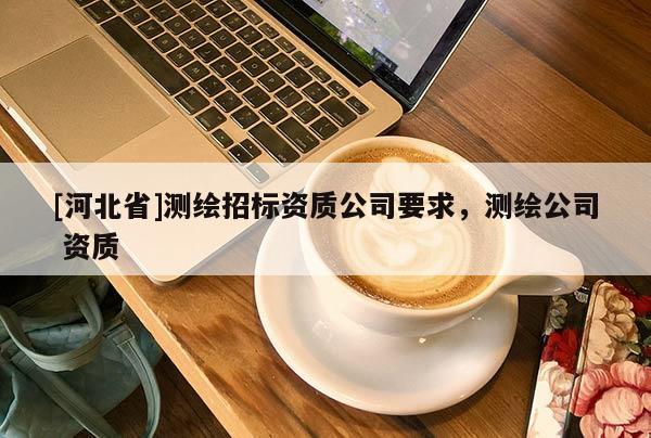 [河北省]測繪招標資質公司要求，測繪公司 資質