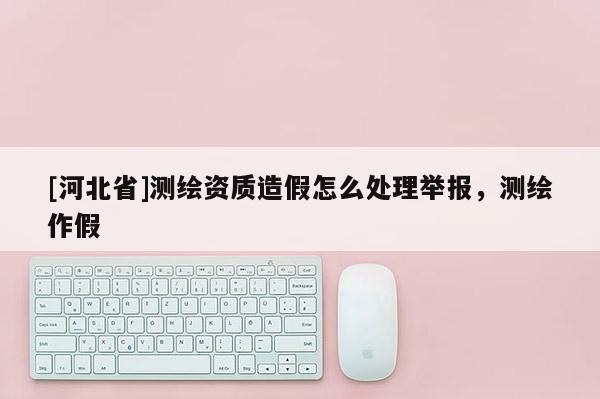 [河北省]測繪資質造假怎么處理舉報，測繪作假