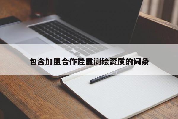 包含加盟合作掛靠測繪資質的詞條