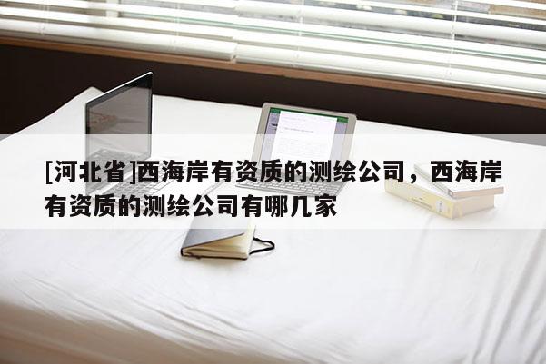 [河北省]西海岸有資質(zhì)的測繪公司，西海岸有資質(zhì)的測繪公司有哪幾家