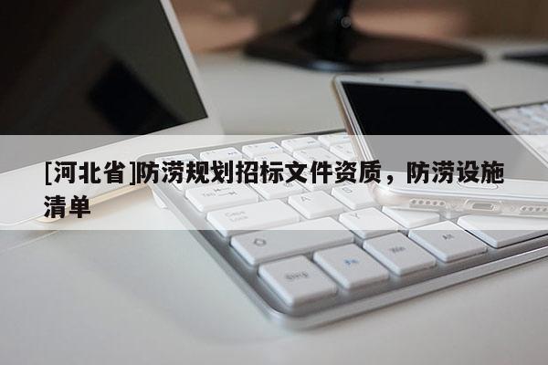 [河北省]防澇規(guī)劃招標文件資質(zhì)，防澇設(shè)施清單