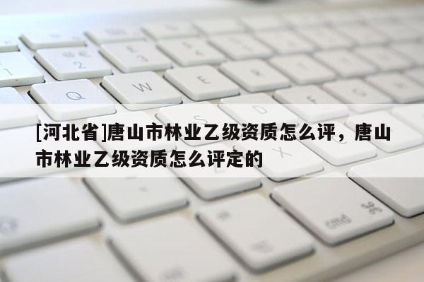 [河北省]唐山市林業乙級資質怎么評，唐山市林業乙級資質怎么評定的